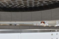 MatingTheExtractionRegion